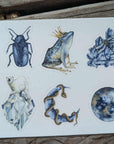 Enchanted Sticker Sheet 4 x 6"
