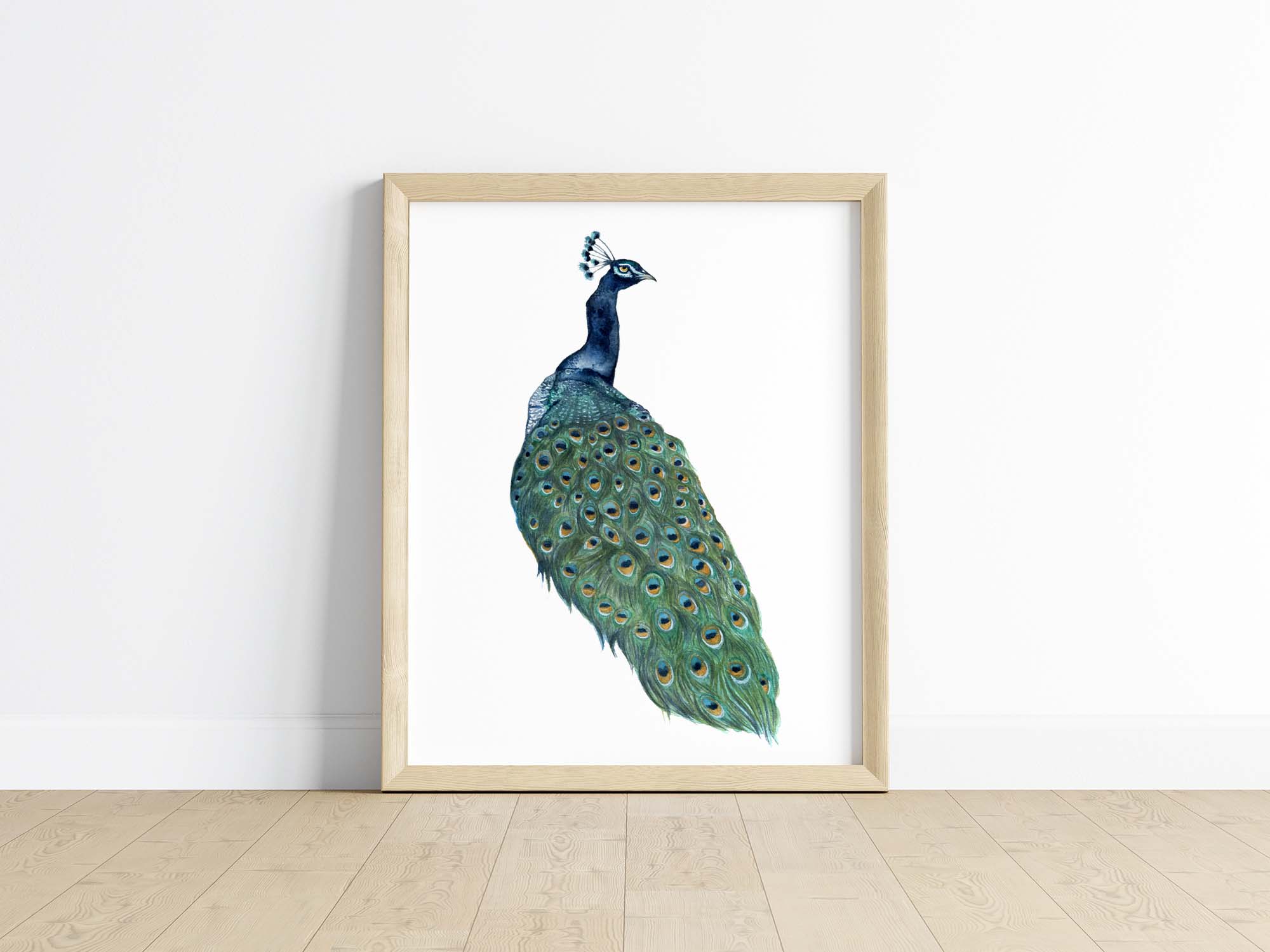 Peacock Painting, Giclee popular GALLERY WRAPPED PRINTS 8x10, 11x14 and 16x20 inches