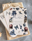 Enchanting ABC Flashcards