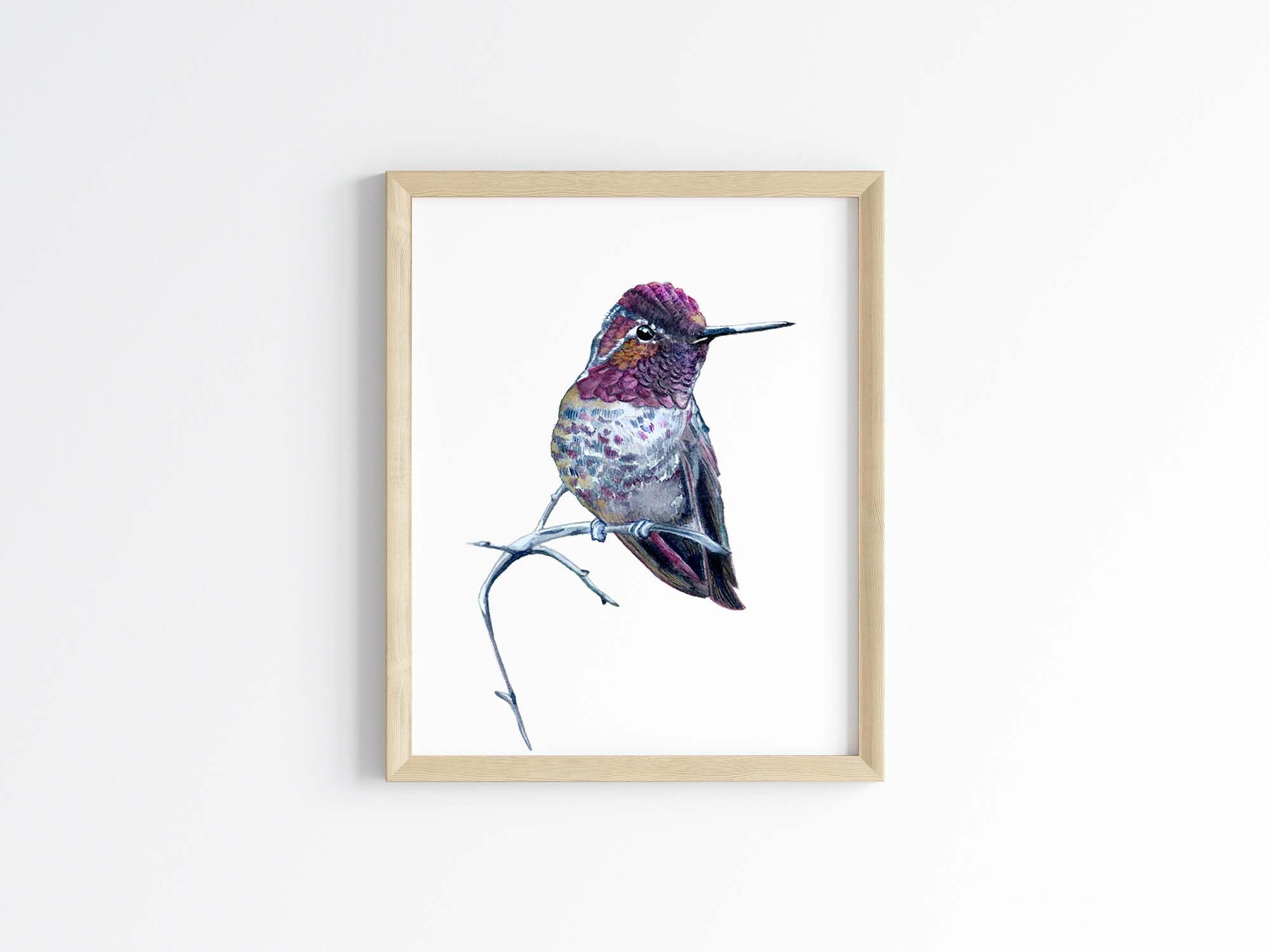 Anna’s Hummingbird drawing in Pen and Ink with Colored Pencil/Gift for store Bird lover/ORIGINAL ART