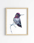 Anna's Hummingbird Art Print