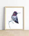 Anna's Hummingbird Art Print