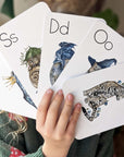 Enchanting ABC Flashcards