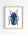 Celestial Beetle Art Print