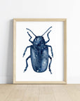 Celestial Beetle Art Print