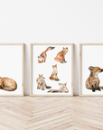 Foxland Art Prints (set of 3)