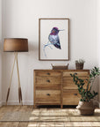 Anna's Hummingbird Art Print