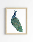 The Peacock Art Print