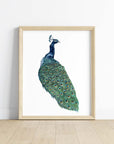 The Peacock Art Print